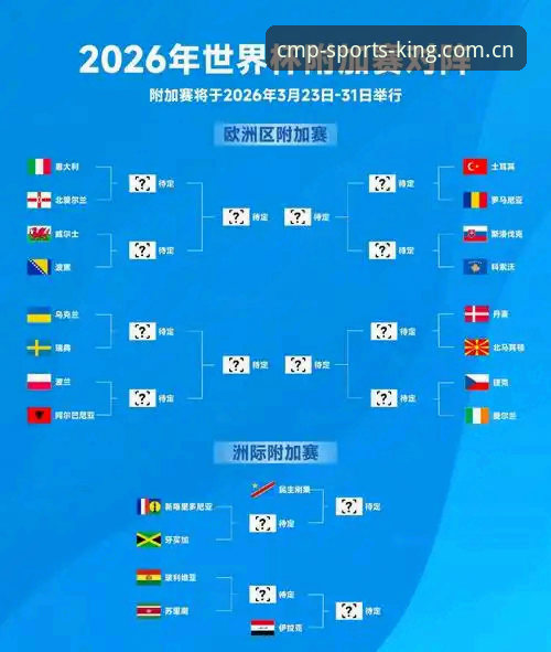 CMP冠军体育安装教程 2026世界杯观赛体验深度评测:签证危机下的球场冷场